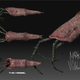 Illustration for article titled Down With Crappy CG Aliens, Support A Real Monster